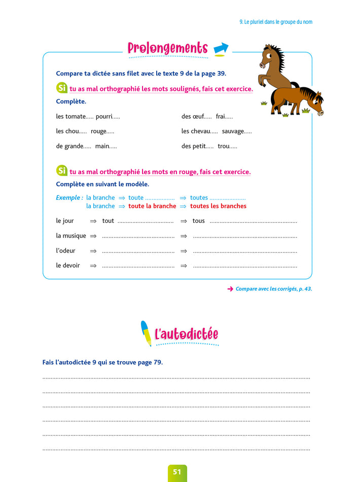 Pour Comprendre Dictées CE1