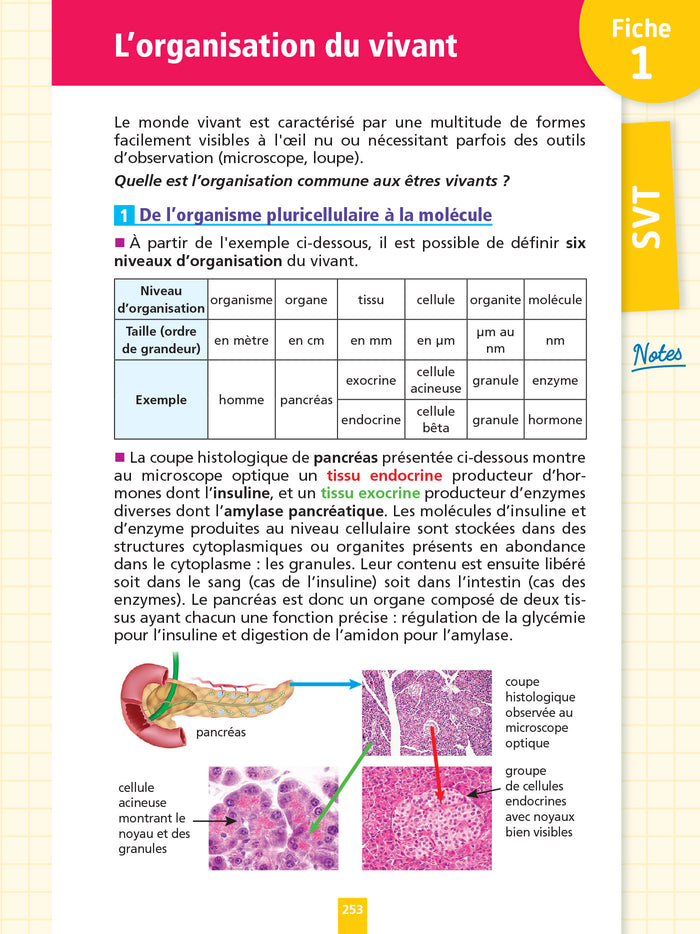 Objectif Bac Fiches détachables Tout-en-un 2nde