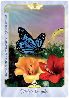 L'oracle de Kalypso