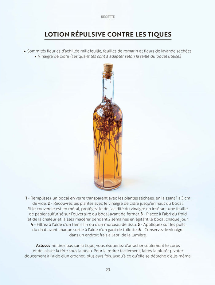 Les soins naturels pour mon chat