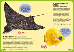 Guide des poissons du monde