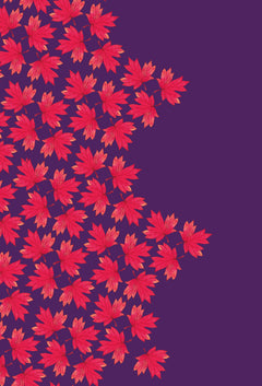 Les filles de la baleine - Hors Série