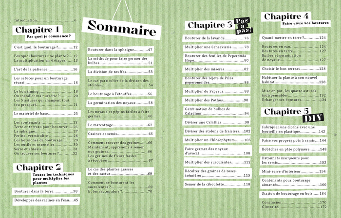 Faire pousser ses plantes gratos