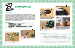 Faire pousser ses plantes gratos