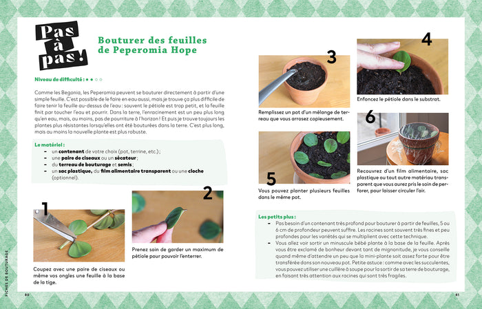 Faire pousser ses plantes gratos