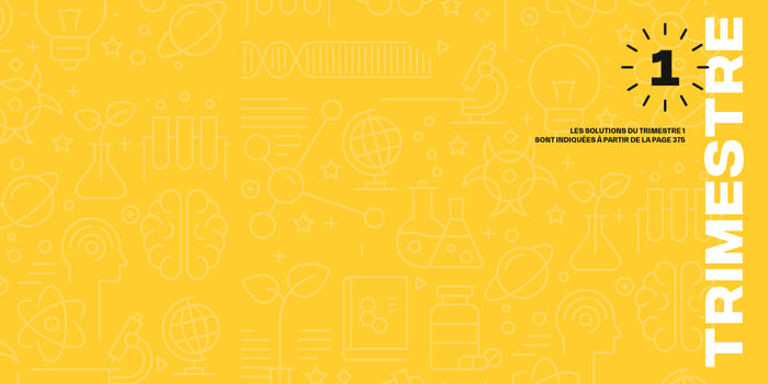 7 minutes par jour de sport cérébral Tome 2