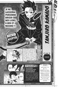 Demon Slayer : Carnet des pourfendeurs - Fanbook officiel
