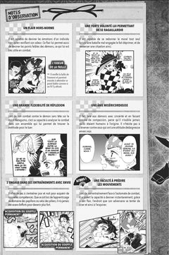 Demon Slayer : Carnet des pourfendeurs - Fanbook officiel