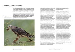 Le secret des oiseaux