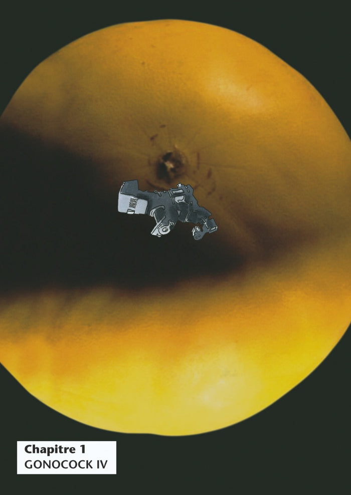 Barry Rousten: Dans l'espace, personne t'entend grogner