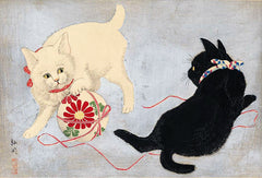 Les chats par les grands maîtres de l'estampe japonaise (coffret)