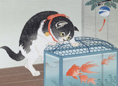 Les chats par les grands maîtres de l'estampe japonaise (coffret)