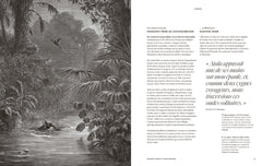 Fantastique Gustave Doré