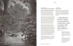 Fantastique Gustave Doré