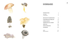 Cuisiner les champignons de nos forêts - Carnet de cueillette & de recettes