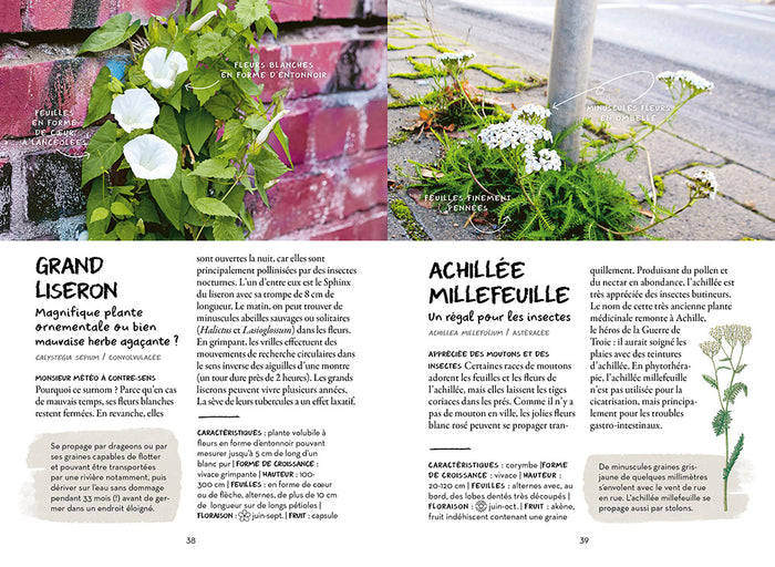 Qu'est-ce qui pousse dans ma rue ?