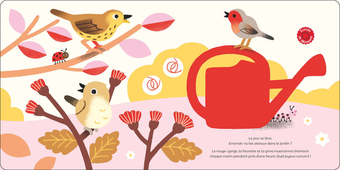 Raconte moi un doc Les oiseaux