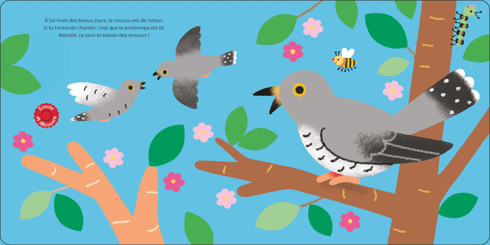 Raconte moi un doc Les oiseaux