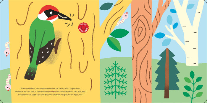 Raconte moi un doc Les oiseaux