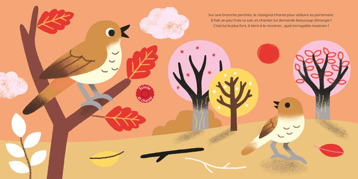 Raconte moi un doc Les oiseaux