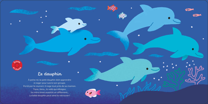 Raconte moi un doc Les bébés animaux