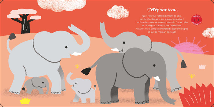 Raconte moi un doc Les bébés animaux