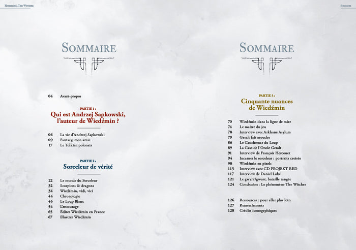 Hommage à The Witcher