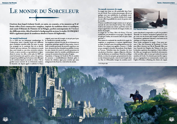 Hommage à The Witcher