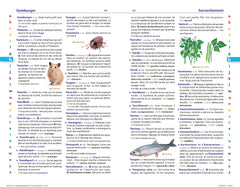 Dictionnaire junior bimédia