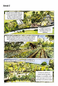 Semences sous influences