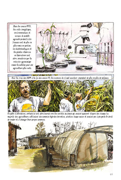 Semences sous influences