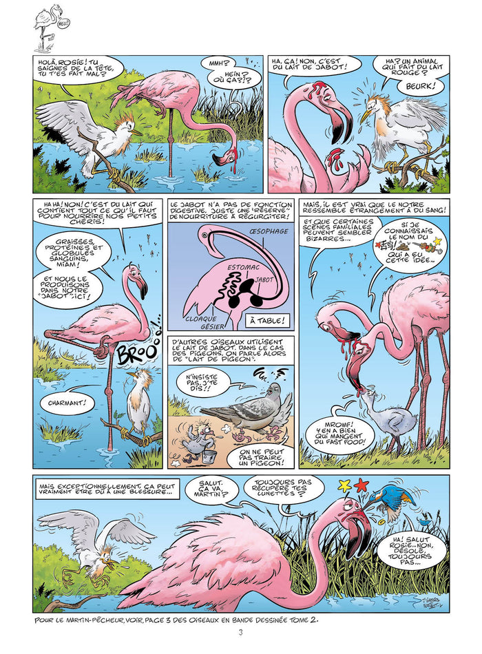 Les Oiseaux en BD - tome 03