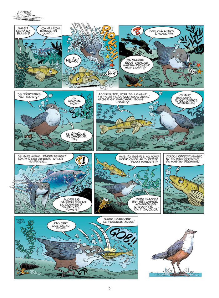 Les Oiseaux en BD - tome 03