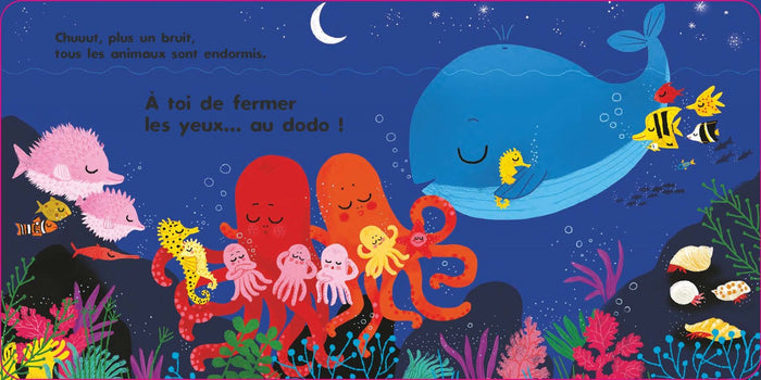 Au dodo - les amis de la mer
