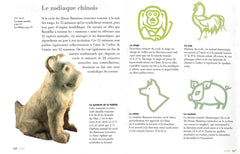 Comprendre les symboles