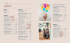 Un van, un chien, deux chats, en route !