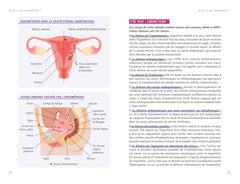 Soulager l'endométriose grâce à une alimentation anti-inflammatoire