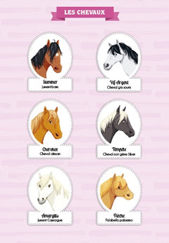 Le Galop des Étoiles - Le Casting ! - Tome 8