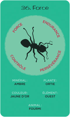 La roue de médecine de Sun Bear - Cartes Oracle