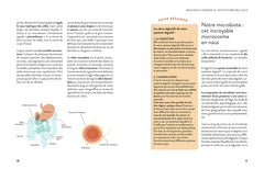 Intestins irritables