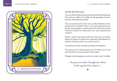 Mon oracle magique Arbres