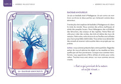 Mon oracle magique Arbres