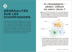 Les Carnets du Scarabée - Champignons