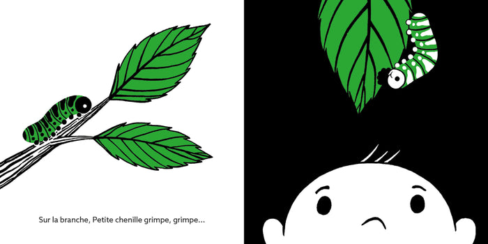 Les tout-cartons - Les petites bêtes qui montent, qui montent...