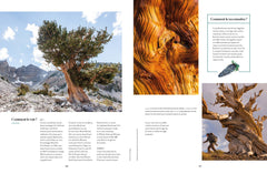 L'Atlas des arbres - Un incroyable tour du monde végétal