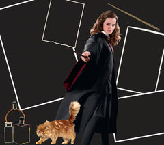 Harry Potter - Cartes à gratter Harry, Hermione, Ron