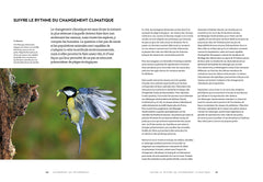 Le secret des oiseaux