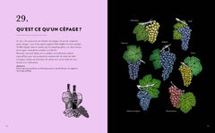 Le vin en 50 questions