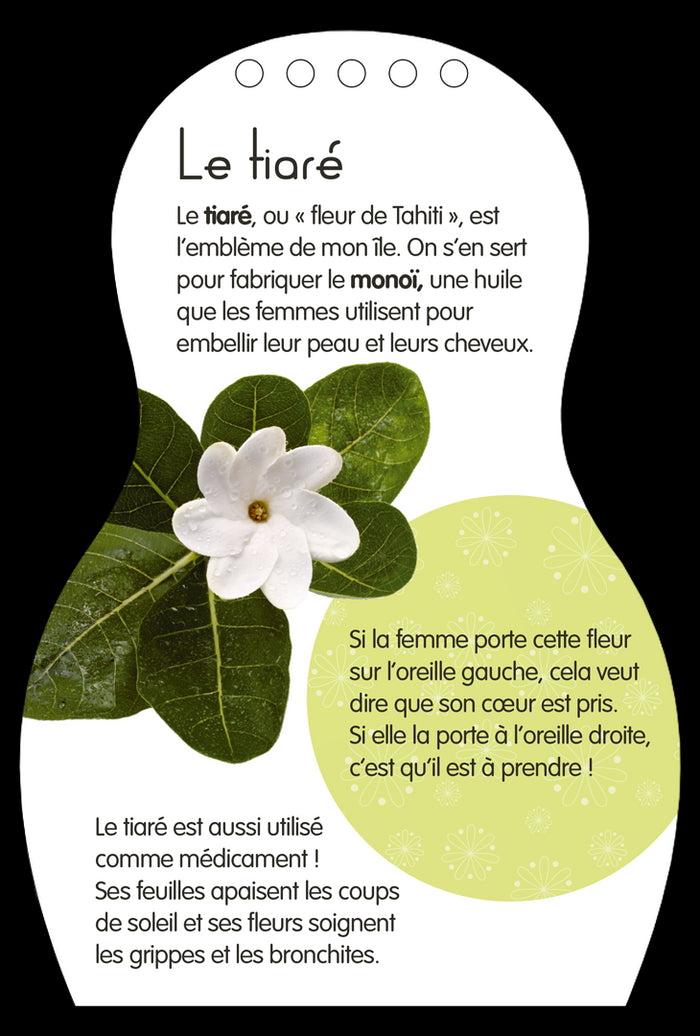 Minimiki - Carnet créatif - Mohea à Tahiti