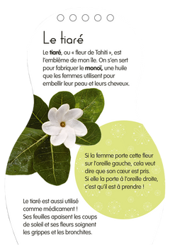 Minimiki - Carnet créatif - Mohea à Tahiti